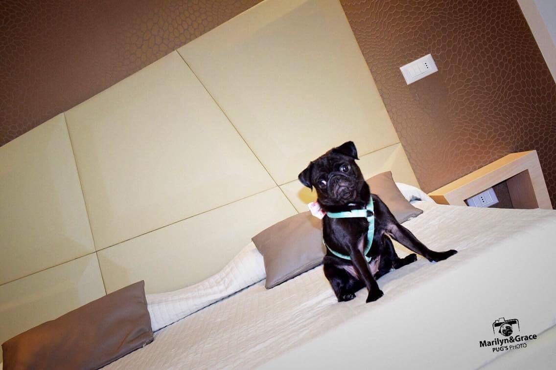 רימיני Hotel Principe מראה חיצוני תמונה