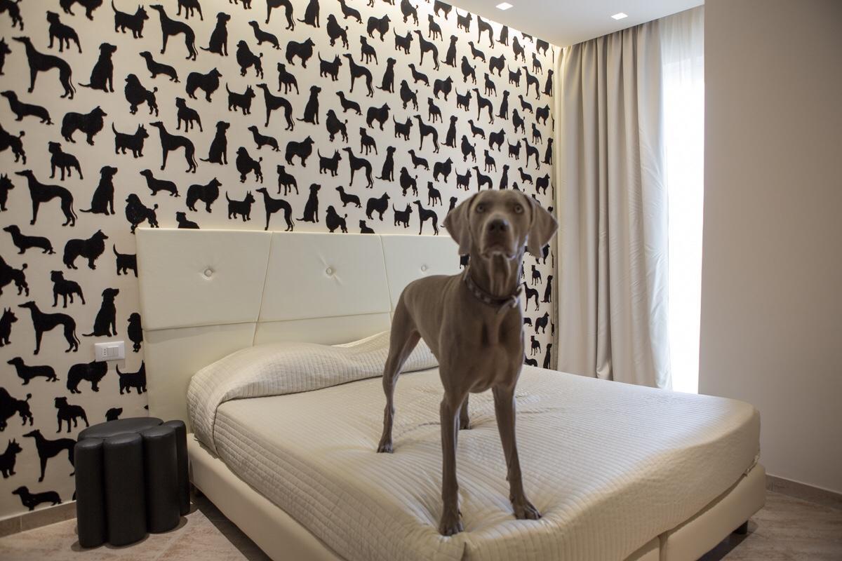 רימיני Hotel Principe מראה חיצוני תמונה